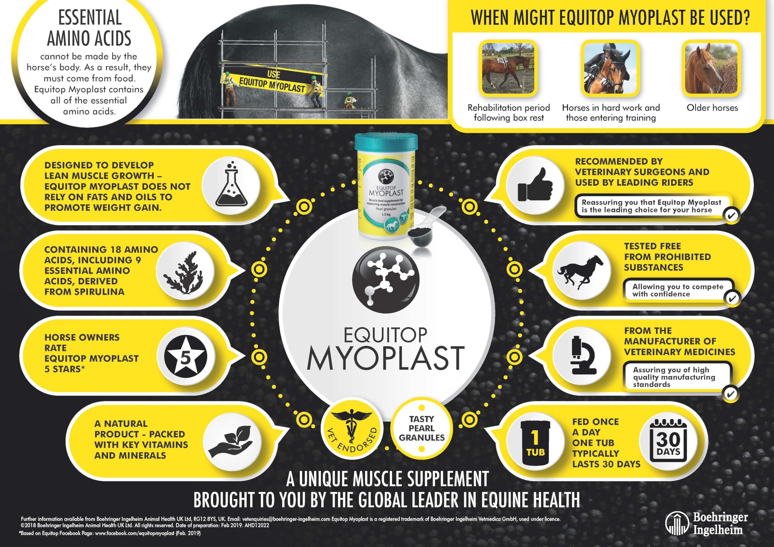EQUITOP? Myoplast - Muscle Supplement for Horses, 1.5 kg by Equitop | The Hackers Market