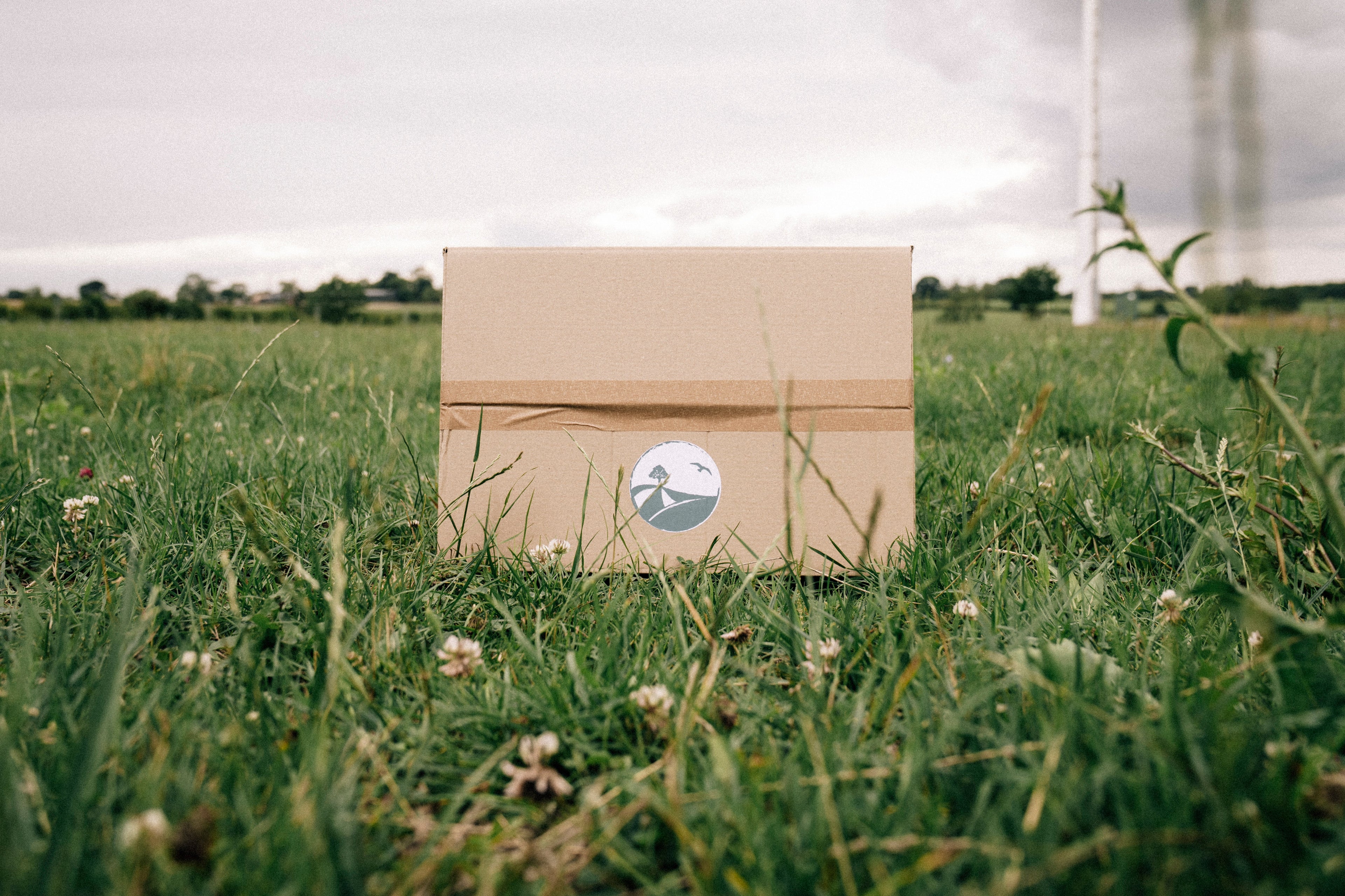 Buckwell Beef Box