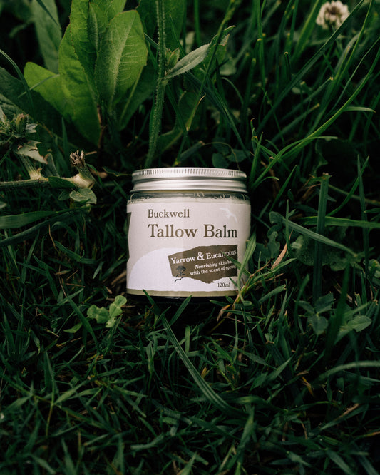 Tallow Balm
