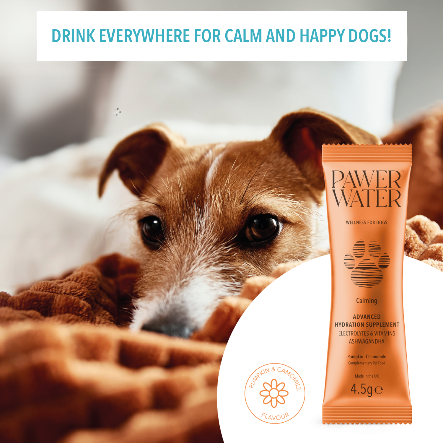 Pawer Water Calming (5 Sticks Pouch) by Pawer Water | The Hackers Market