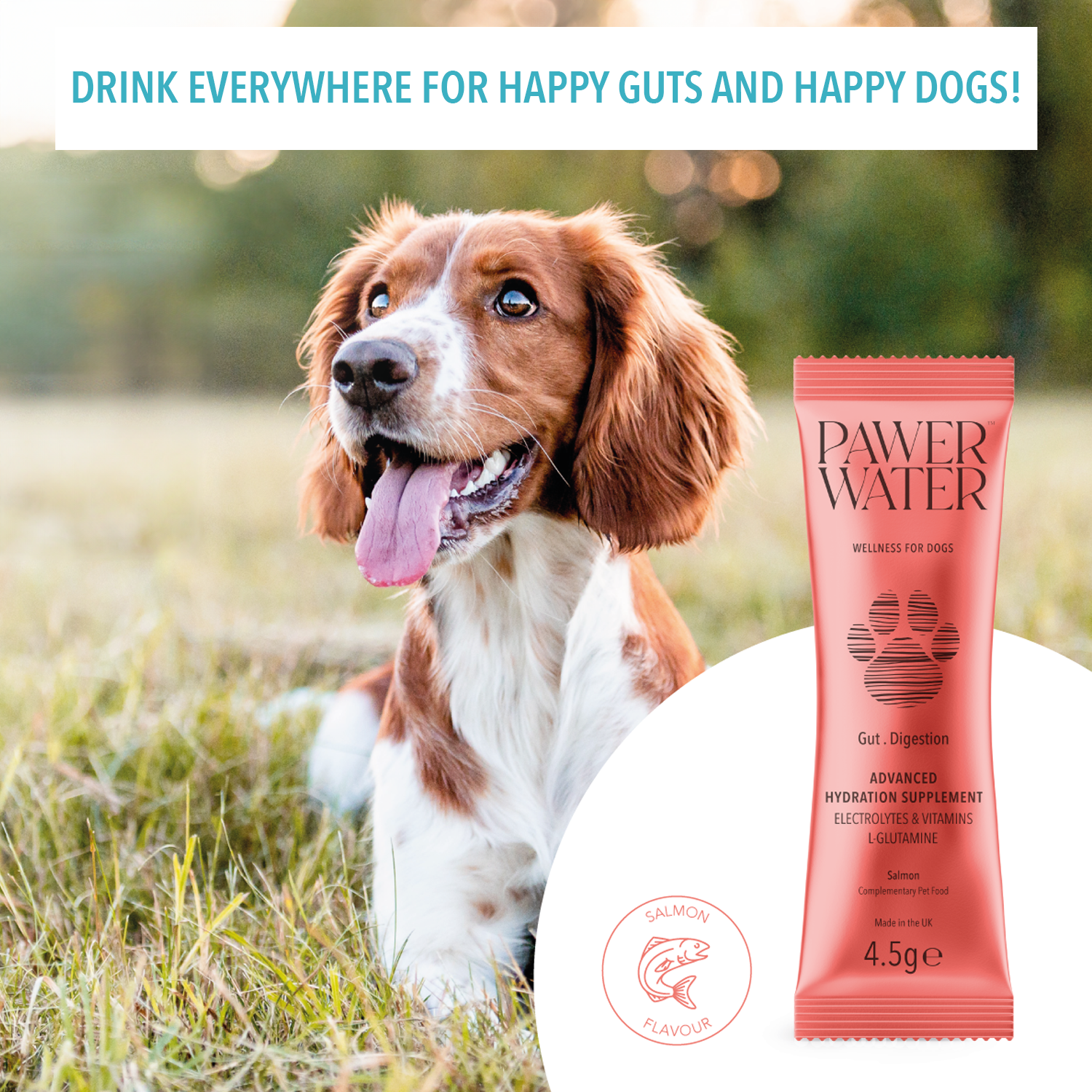 Pawer Water Gut Support (5-sticks Pouch) by Pawer Water | The Hackers Market