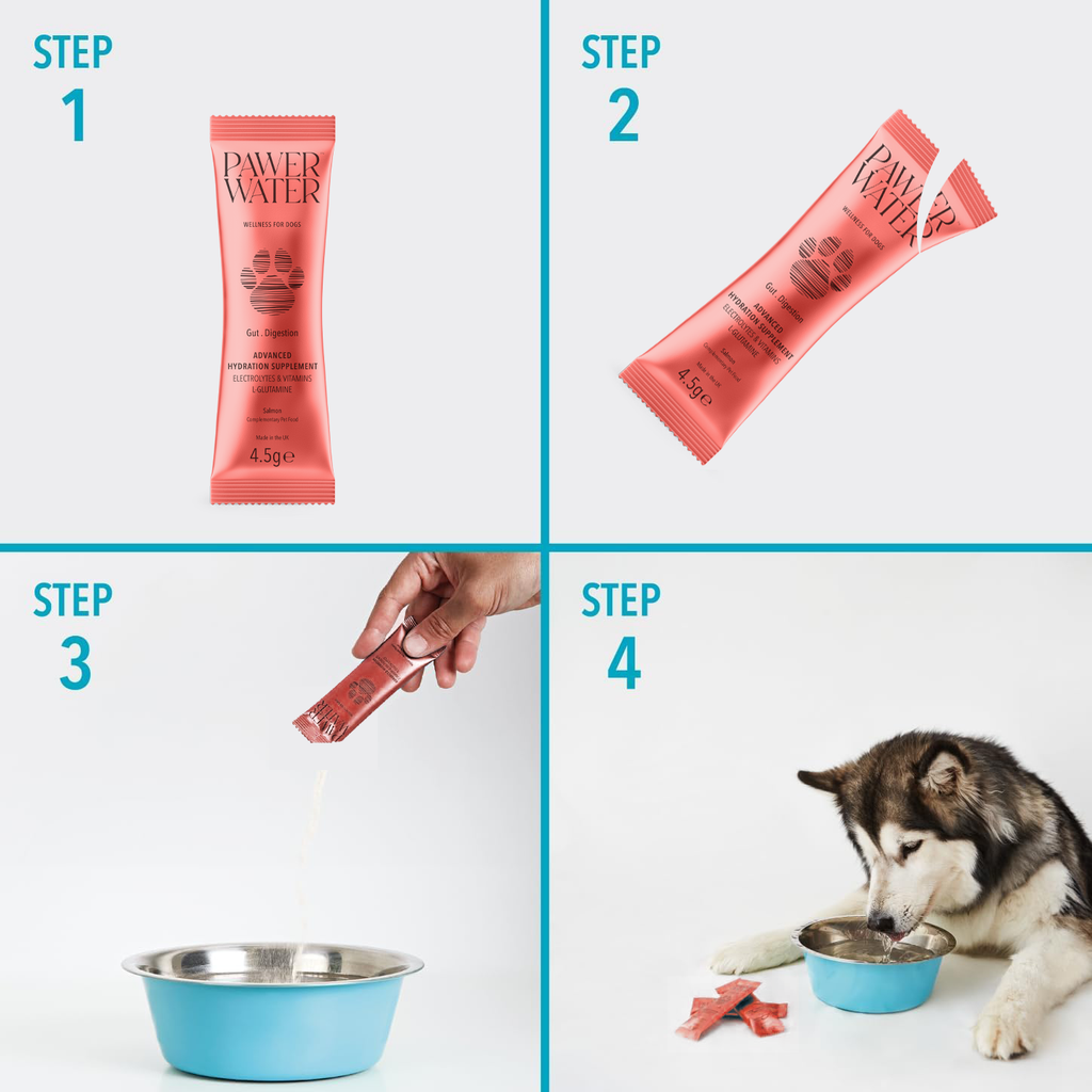 Pawer Water Gut Support (5-sticks Pouch) by Pawer Water | The Hackers Market