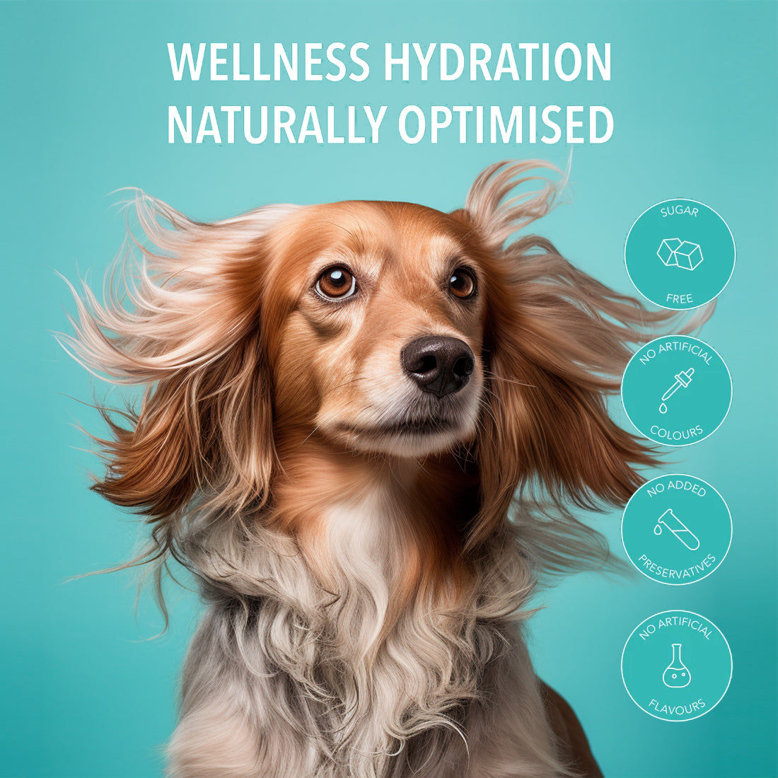 Pawer Water Joint Support (5 Sticks Pouch) by Pawer Water | The Hackers Market