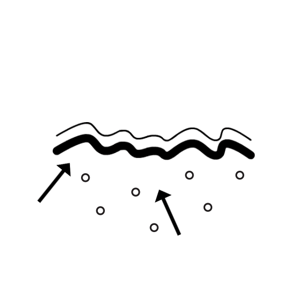 CollaGEM-V™ Vegan Collagen Peptides by Raw Beauty Lab | The Hackers Market