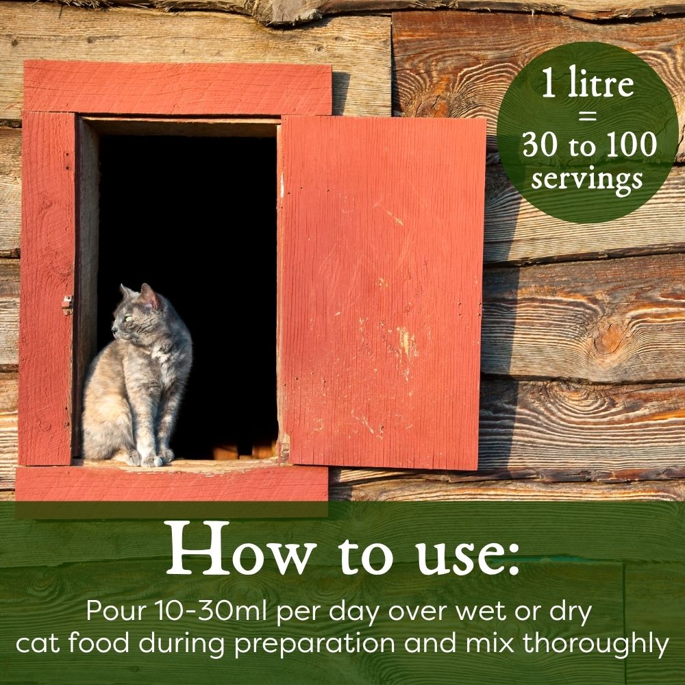 Cat sitting inside a red wooden shelter with text about cat food usage.