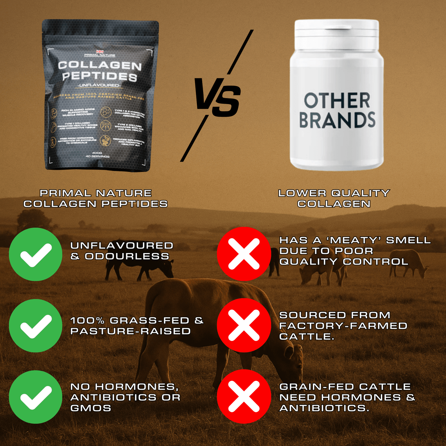 Collagen Peptides - Primal Nature