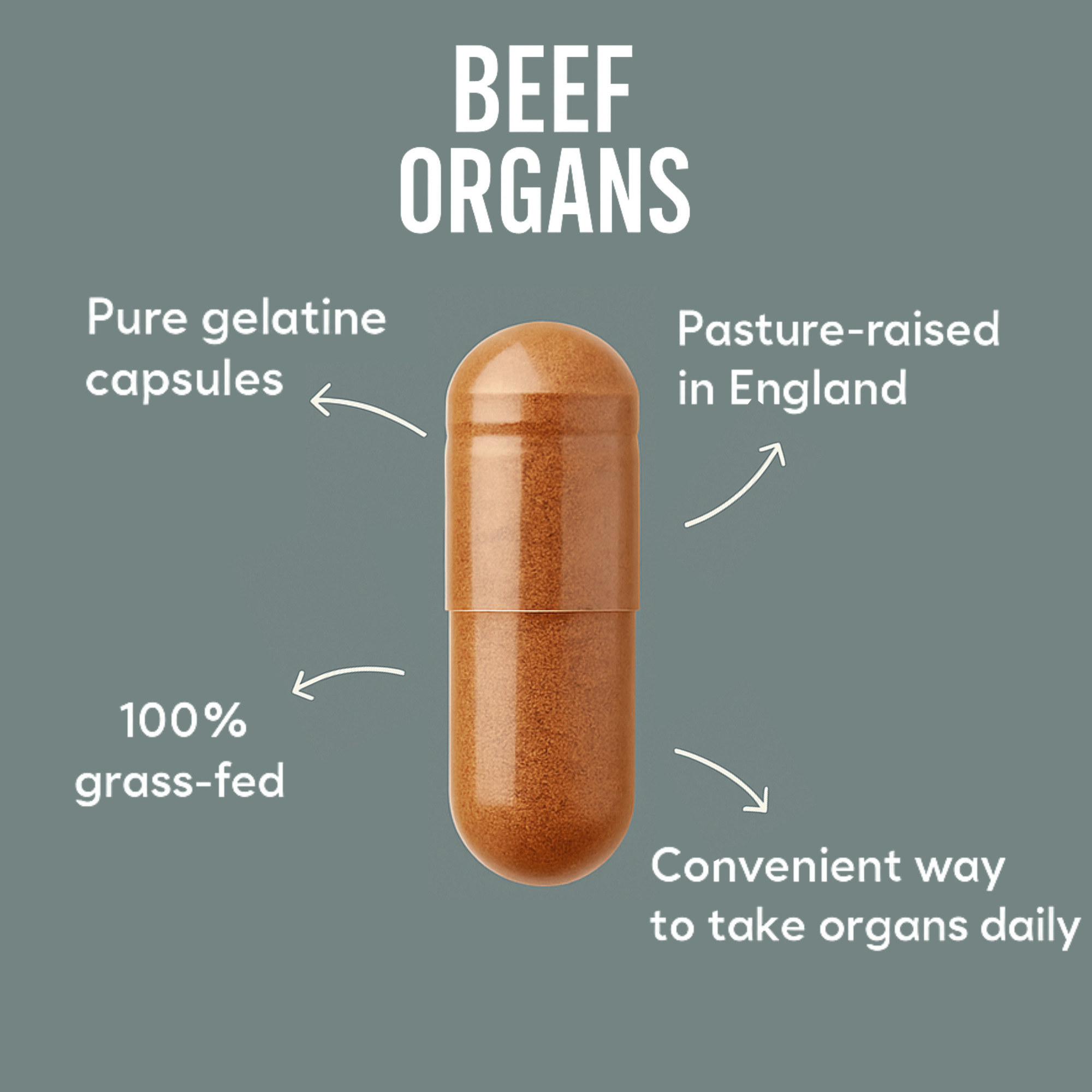 Grass-Fed Beef Organs