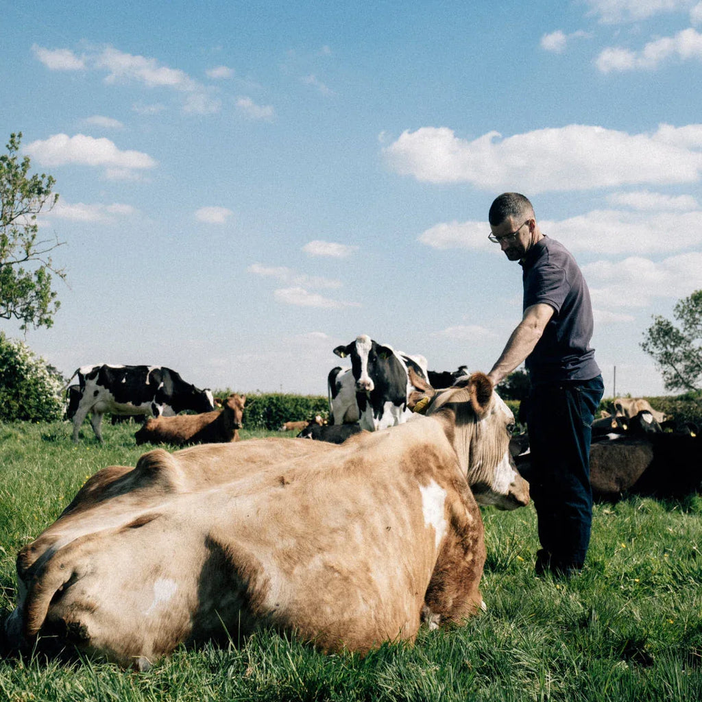 Raw Cultured Whey - 1 litre by Hill Farm Real Food | The Hackers Market