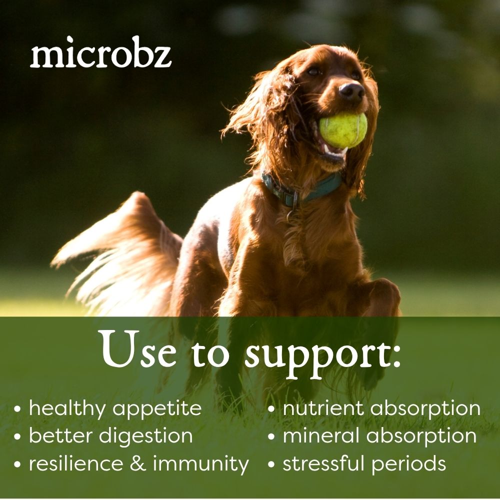 Dog nutrition