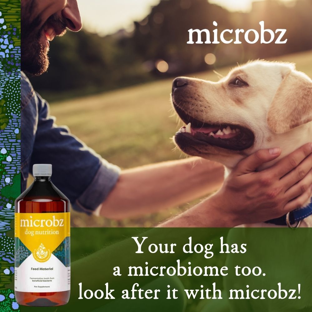 Dog nutrition