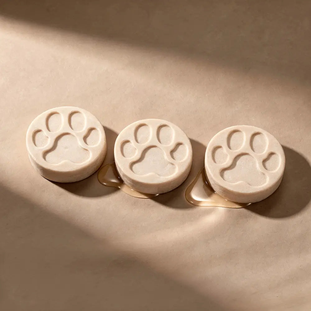Fragrance Free Dog Shampoo Bar Bundle by KIND2 | The Hackers Market