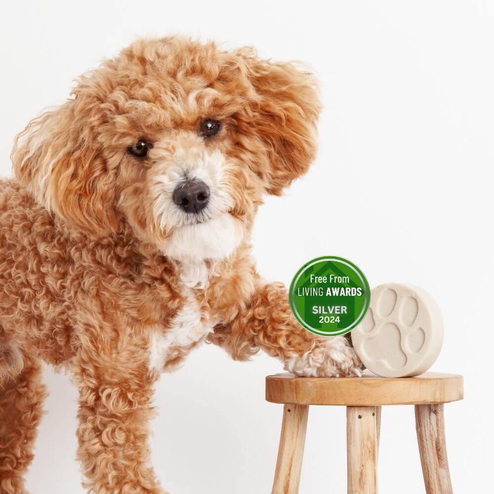 Fragrance Free Dog Shampoo Bar Bundle by KIND2 | The Hackers Market