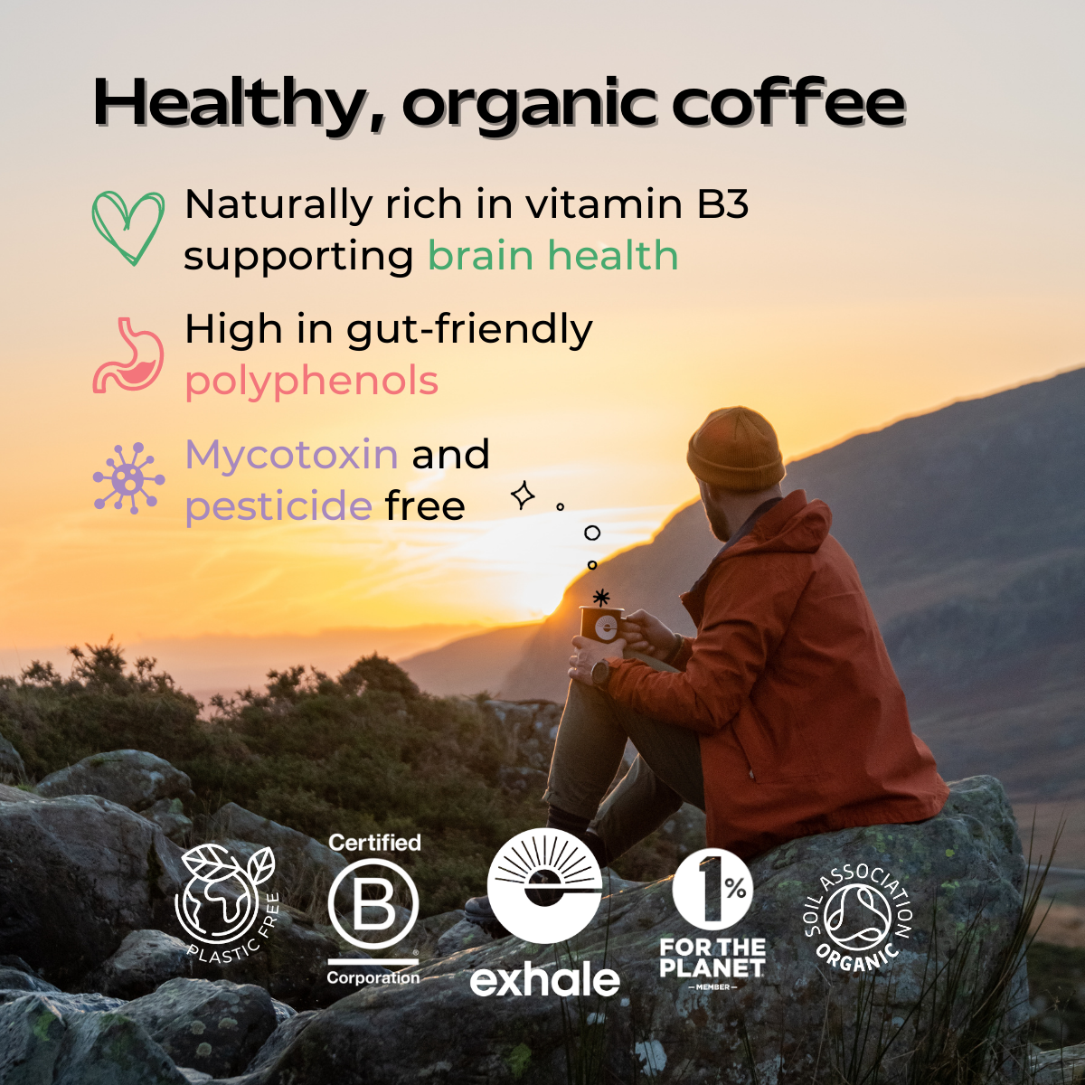 Organic House Roast Coffee by Exhale Healthy Coffee | The Hackers Market