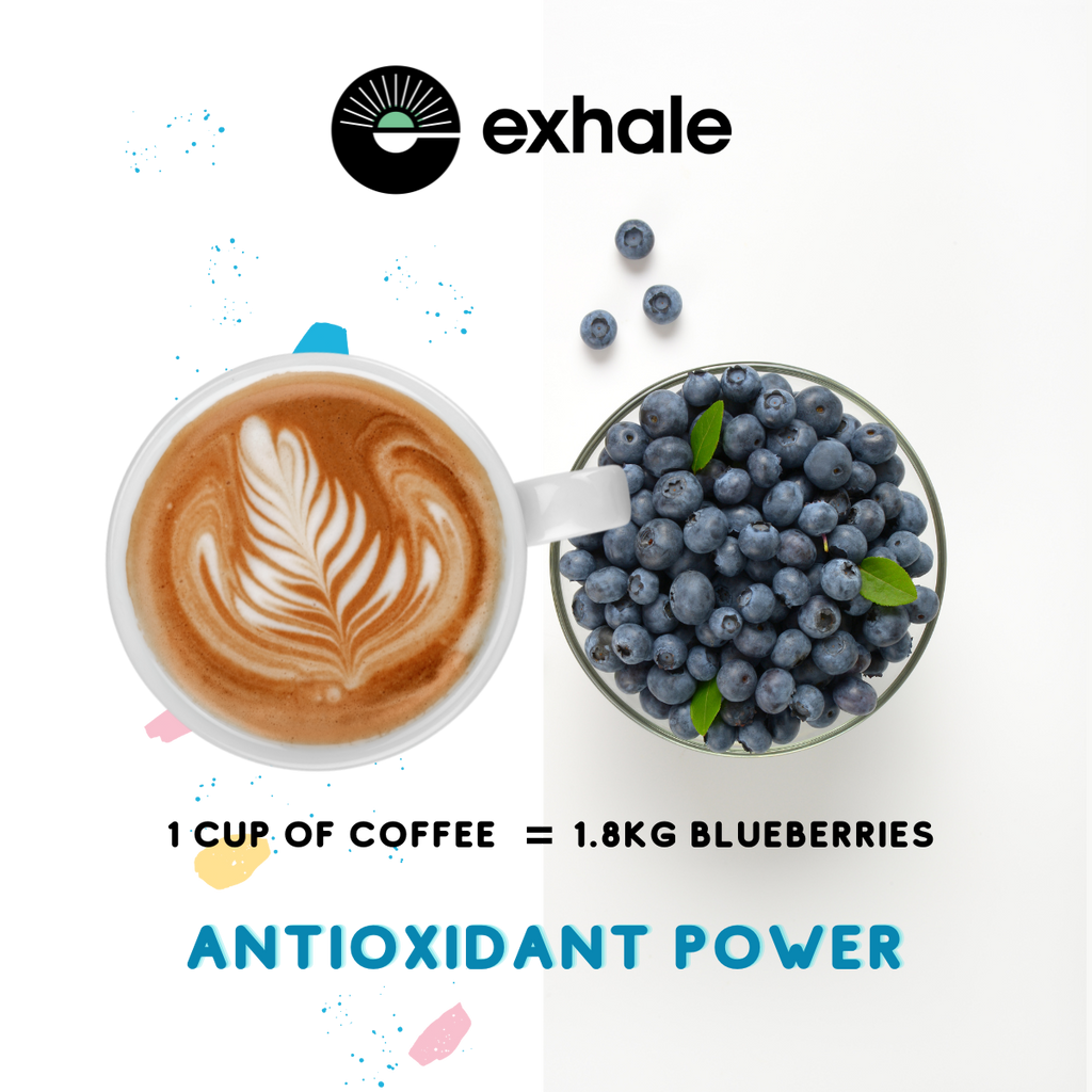 Organic House Roast Coffee by Exhale Healthy Coffee | The Hackers Market