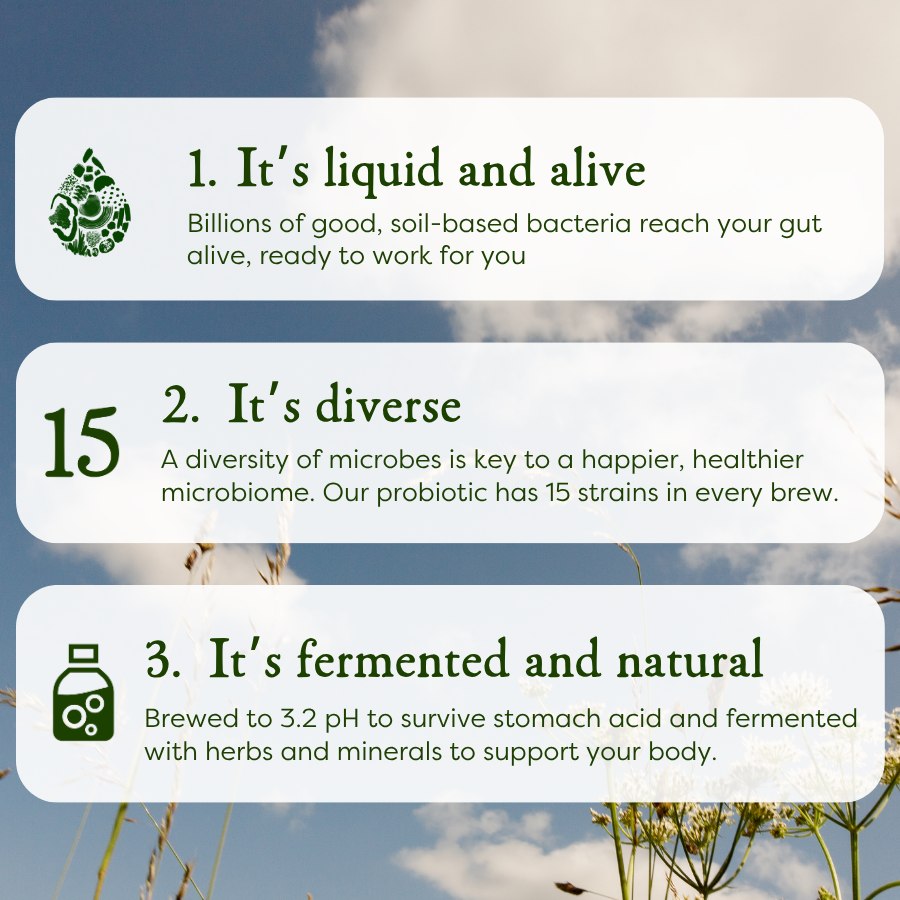 90 day gut reboot