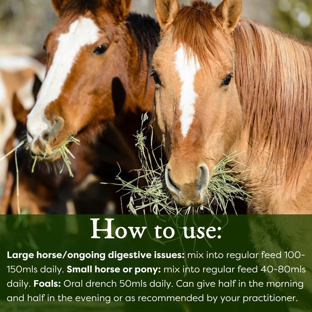 Horse nutrition
