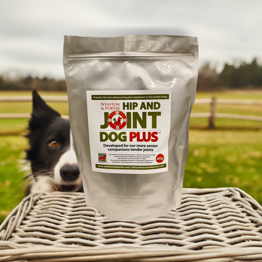 Hip & Joint Dog PLUS – Premium High-Strength Canine Joint Support Powder (UK) by Winston and Porter | The Hackers Market