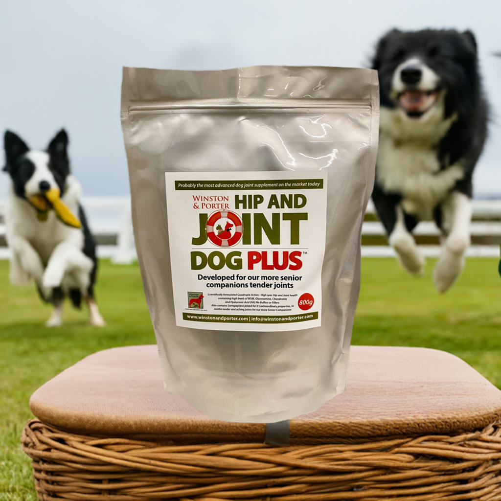 Hip & Joint Dog PLUS – Premium High-Strength Canine Joint Support Powder (UK) by Winston and Porter | The Hackers Market