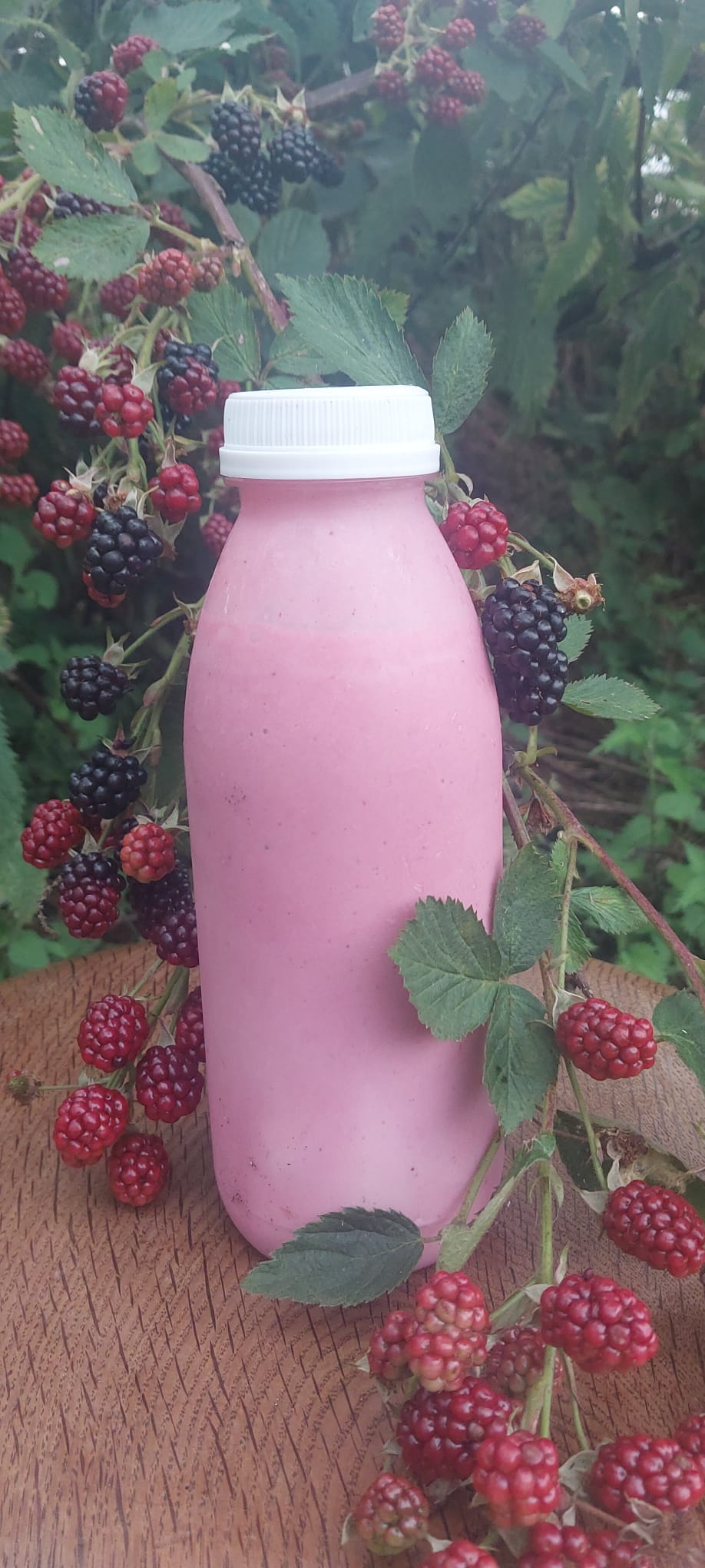 HILL FARM KEFIR 'BLACKBERRY' 500ml x 7 Bottle Bundle (INCLUDES COURIER DELIVERY) by Hill Farm Real Food | The Hackers Market