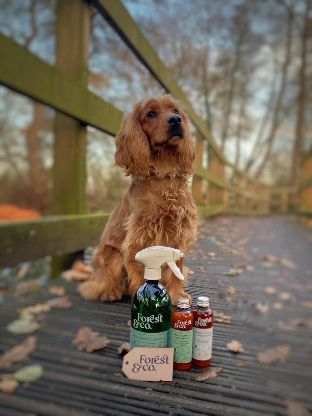 Home Bundle Special Edition Christmas Gift Set - £38.98