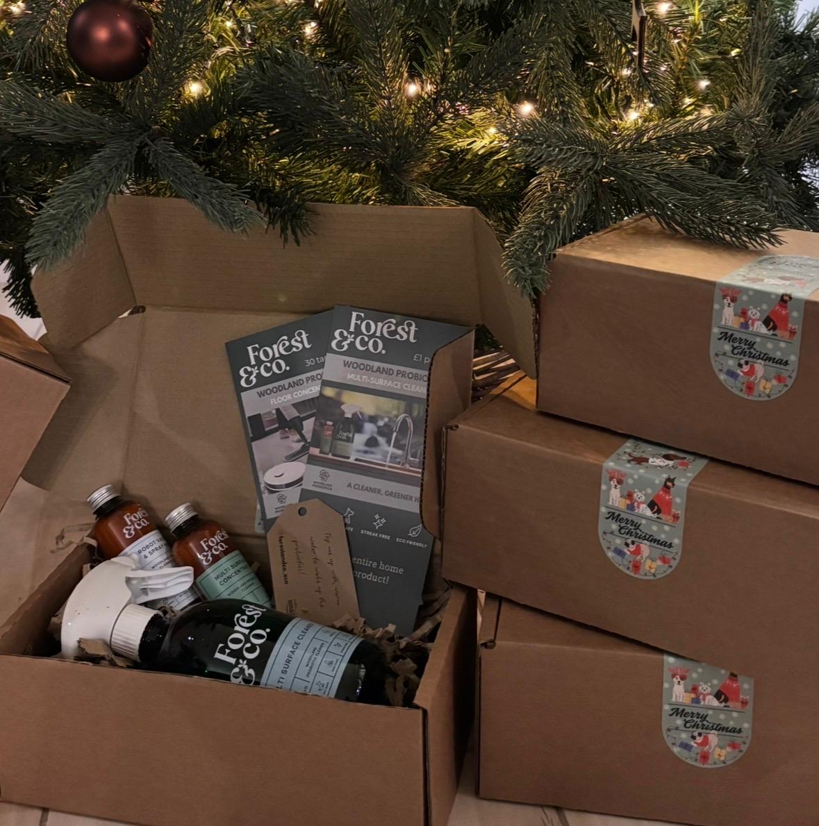 MULTI-SURFACE STARTER KIT -  Special Edition Christmas Gift Set - £26.99