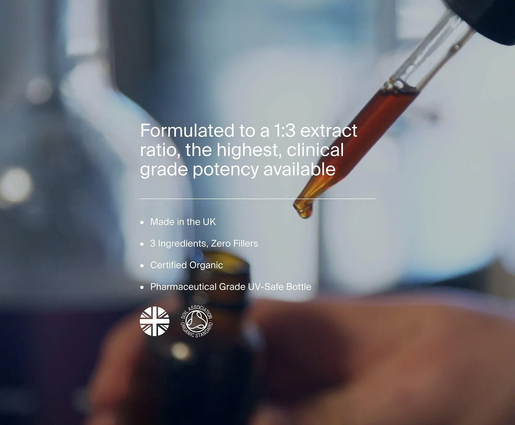 Organic Lion's Mane by Manapura | The Hackers Market