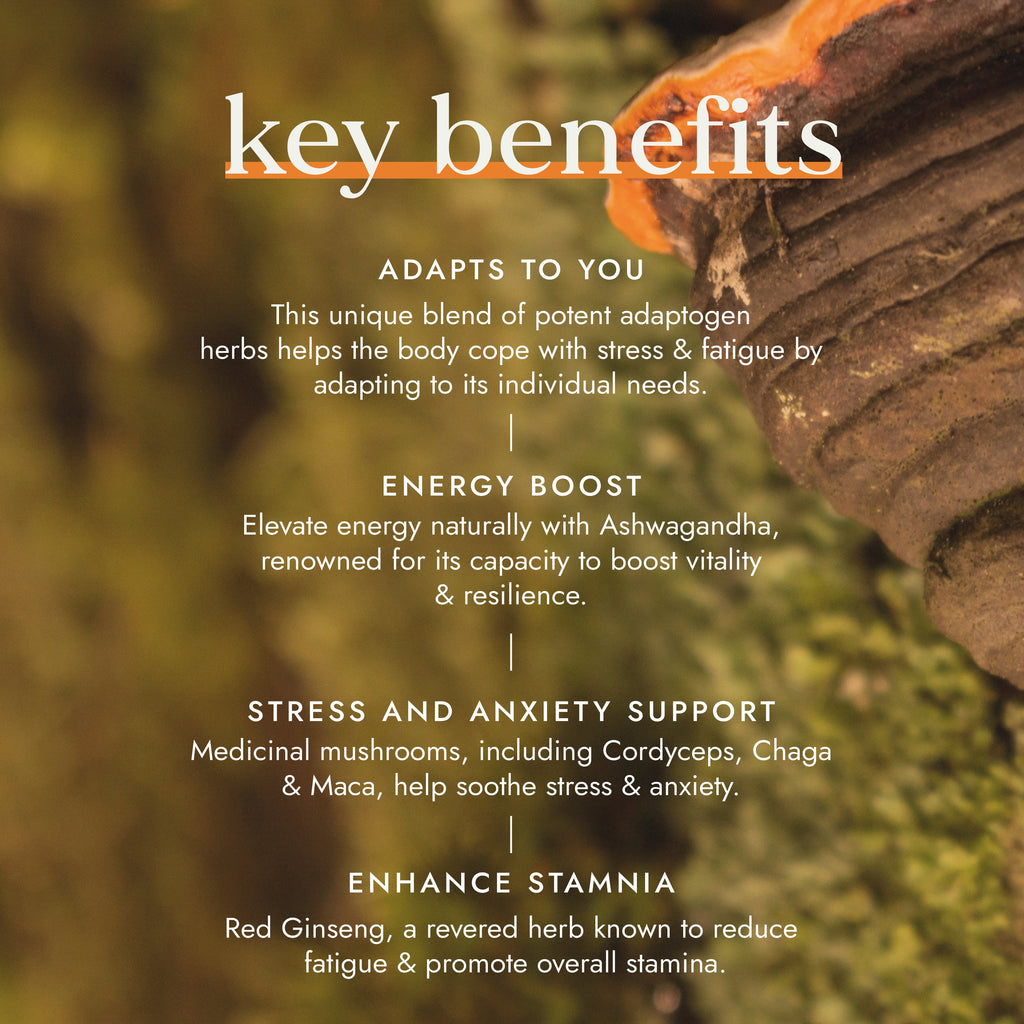 Adaptogen Energy Blend