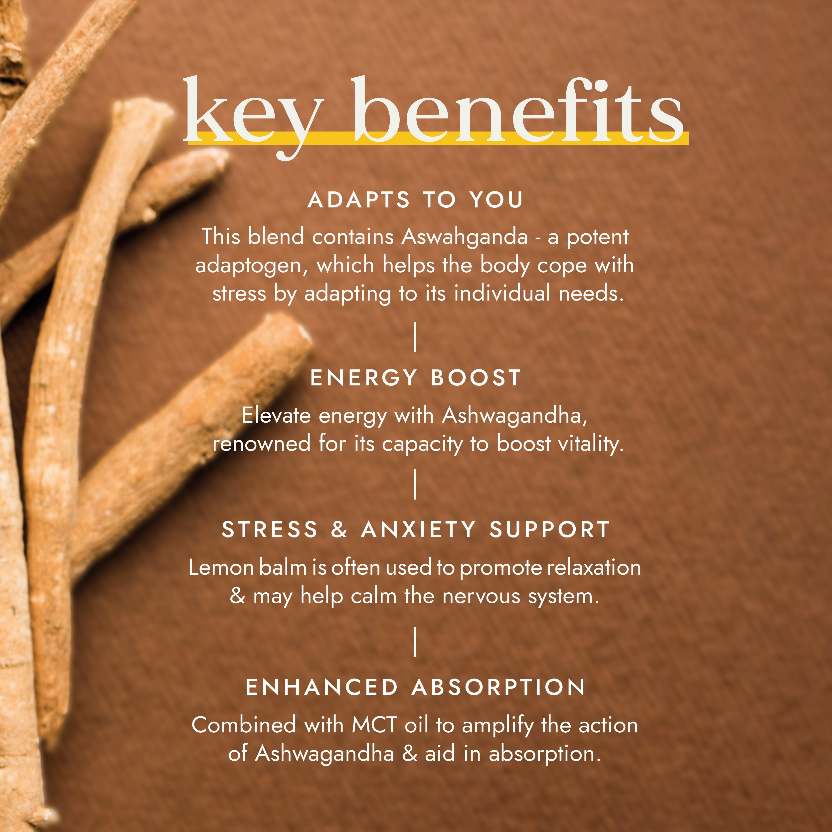 Ashwagandha Blend with KSM-66®