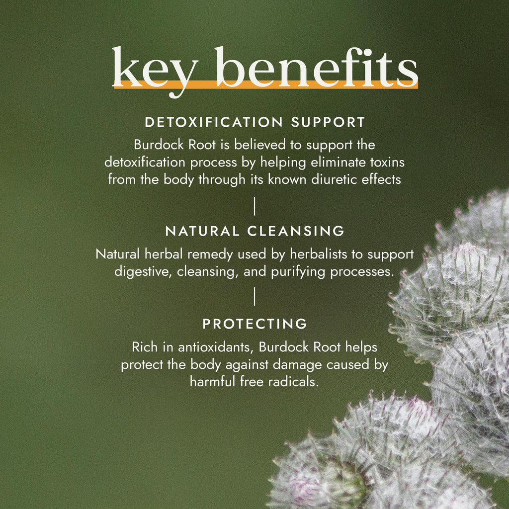 Organic Burdock Root