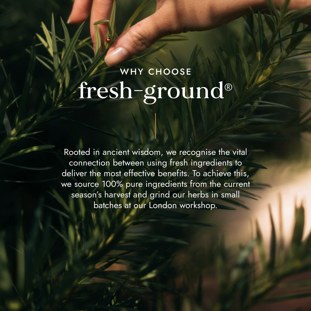 Organic Chaste Tree (Agnus Castus)