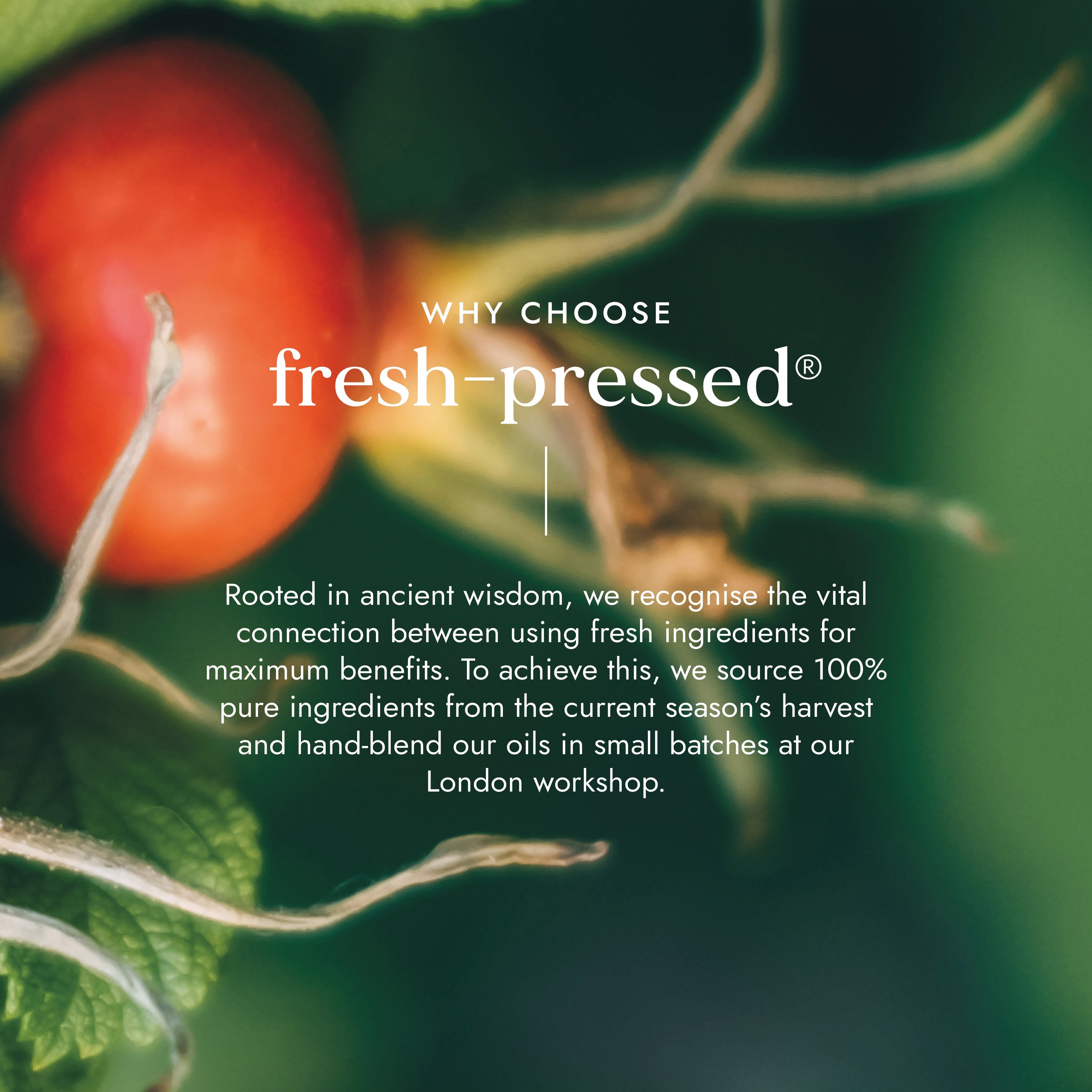 Organic Rosehip Oil 30ml