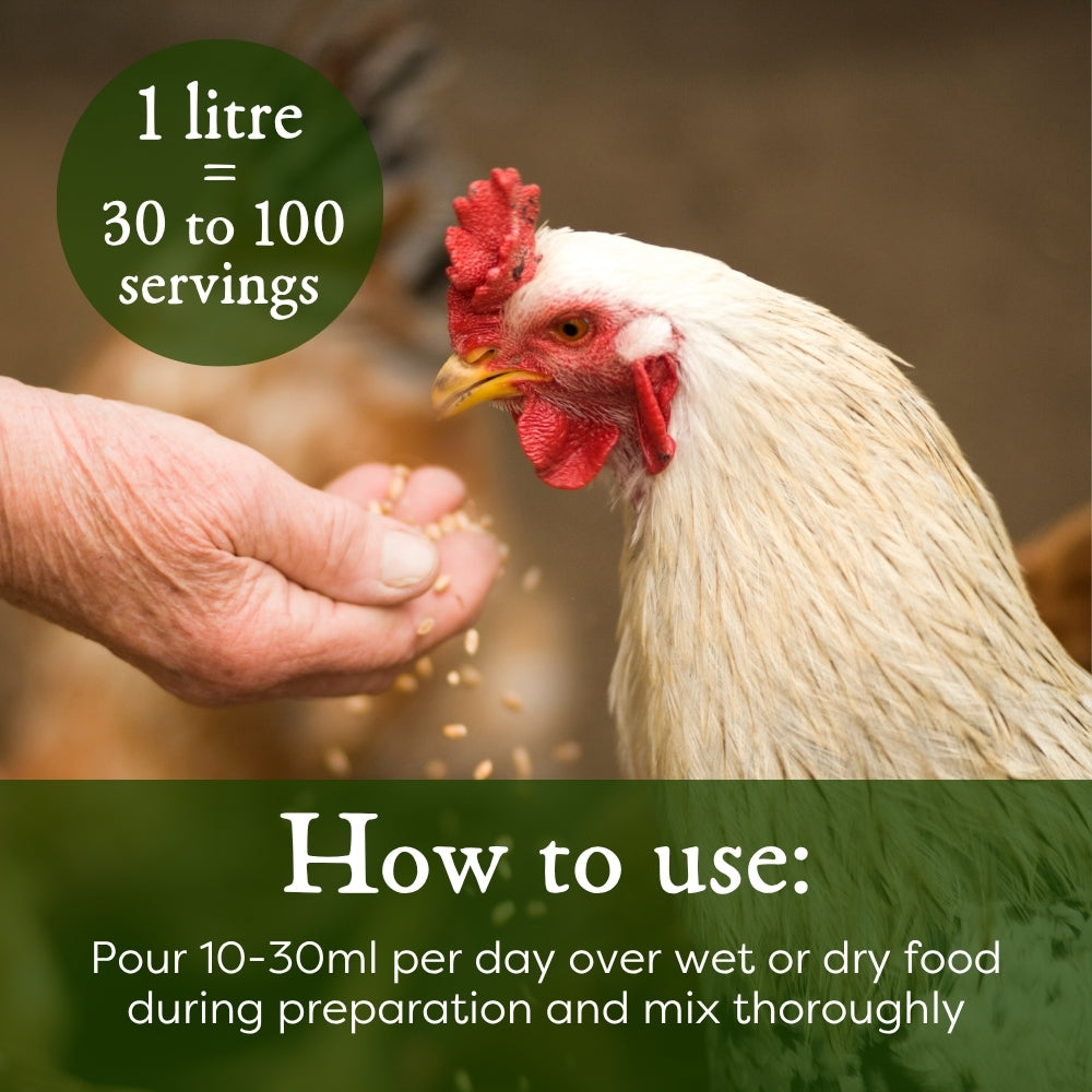 Poultry nutrition