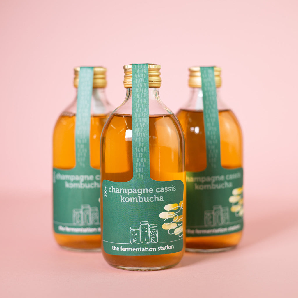 Probiotic Power Bundle by The Fermentation Station | The Hackers Market