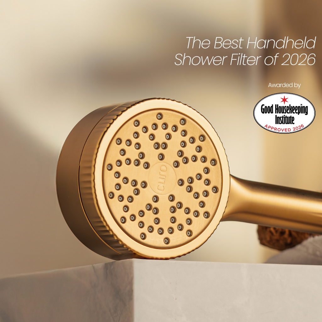Filtered Shower Head
