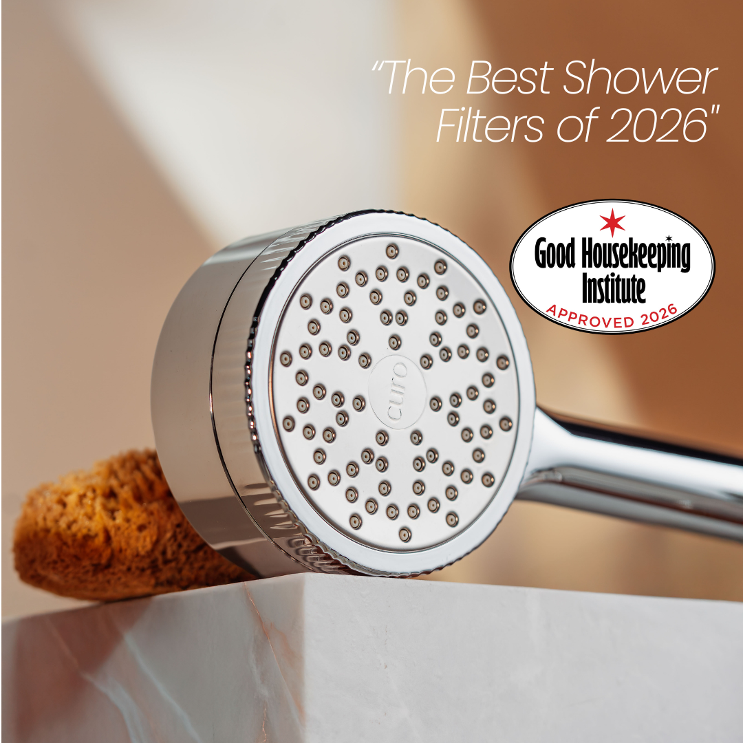 Filtered Shower Head
