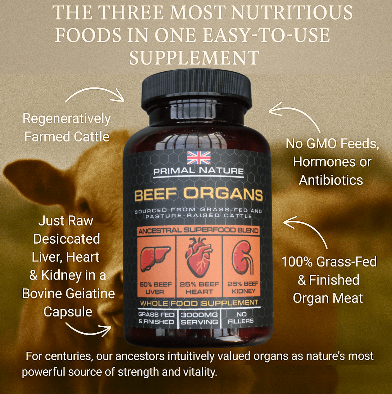 Grass-Fed Beef Organs - Primal Nature