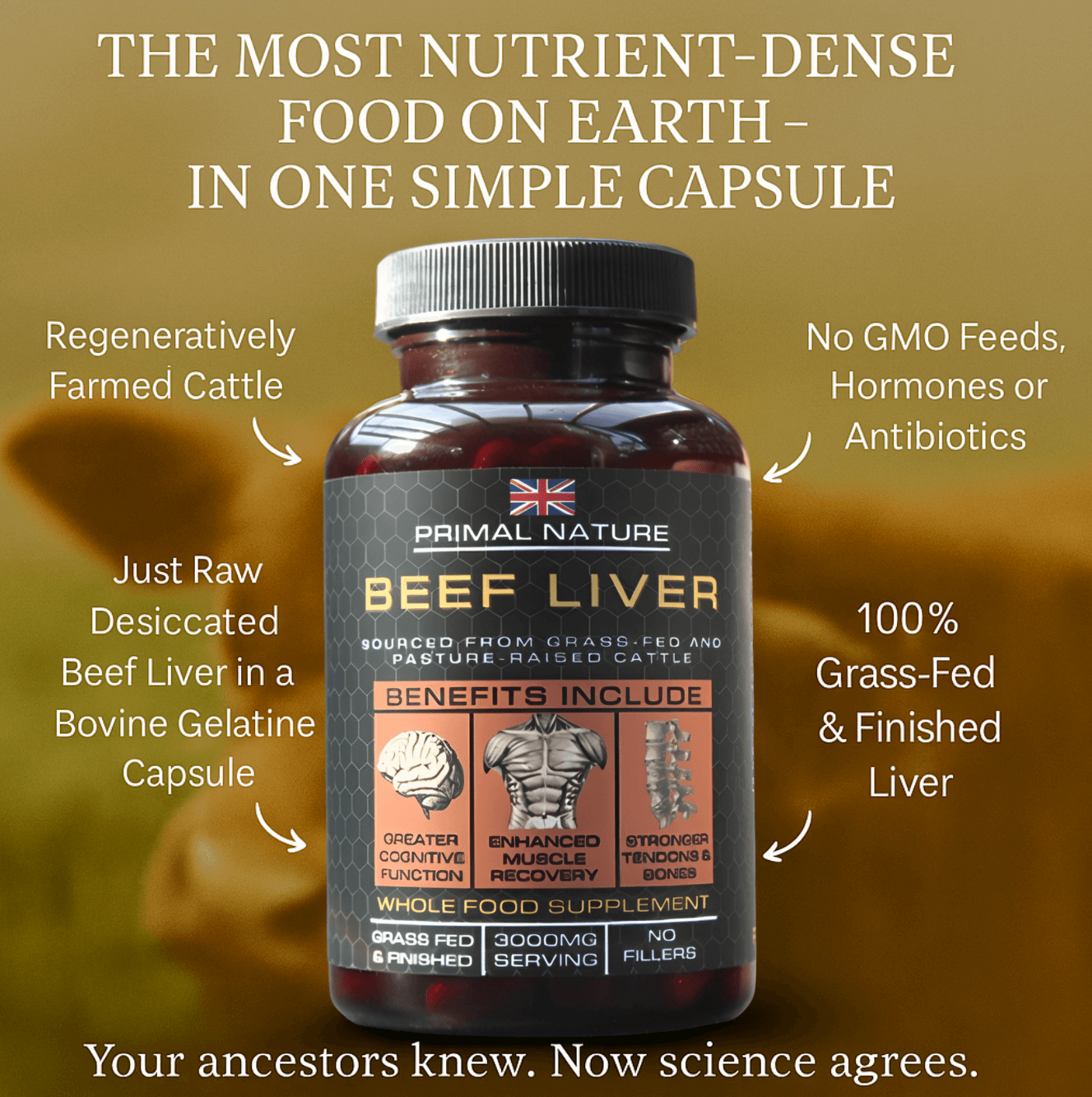 Grass-Fed Beef Liver Primal Nature Default Title