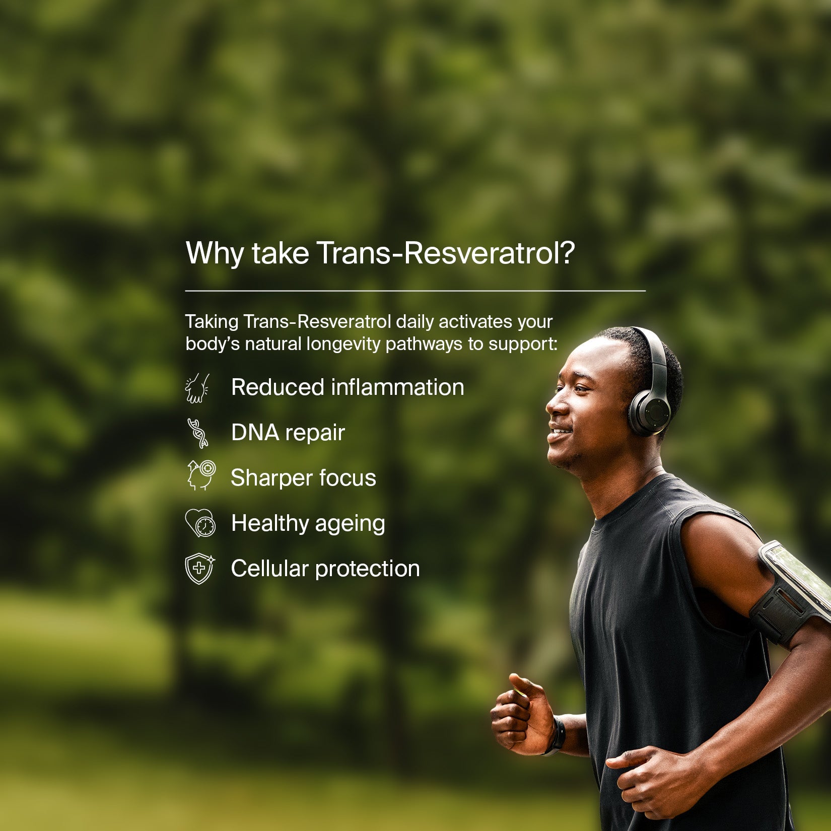 Pure Trans-Resveratrol