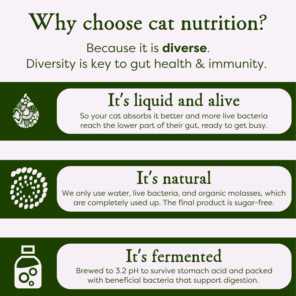 Cat nutrition product description with green and white color scheme