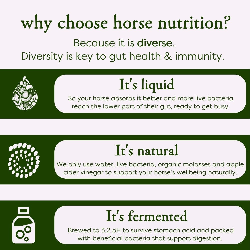 Horse nutrition
