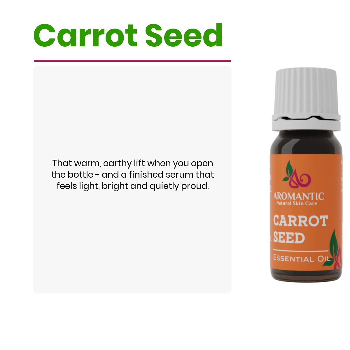 Carrot Seed Oil