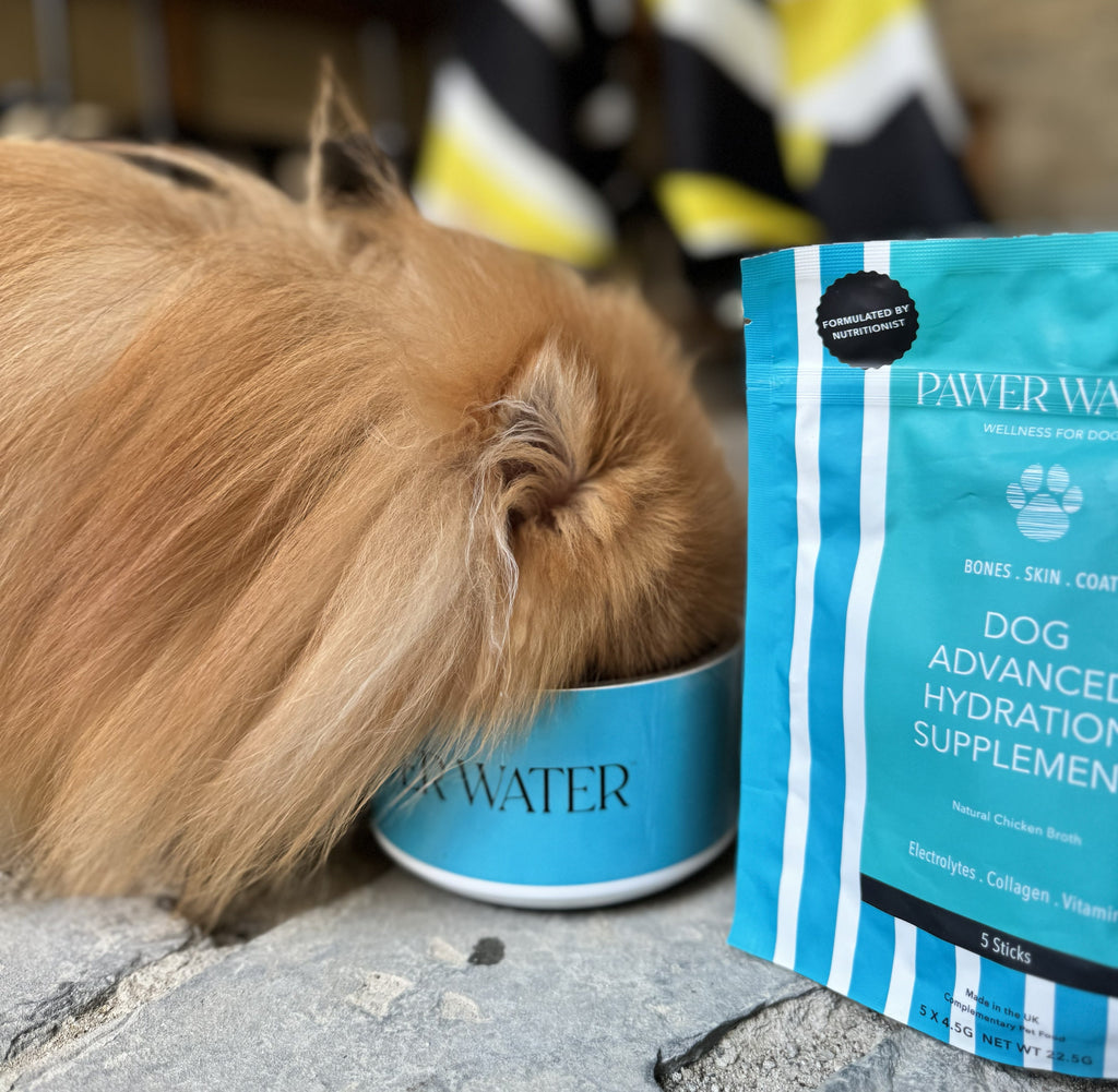 Pawer Water Joint Support (5 Sticks Pouch) by Pawer Water | The Hackers Market