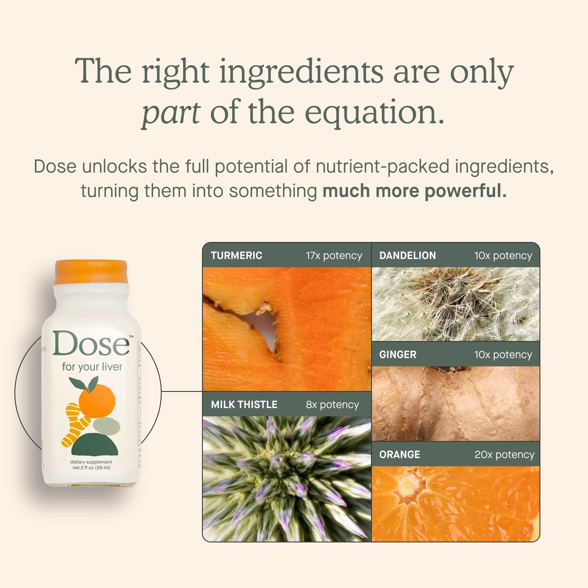 DOSE Liver Cleanse Detox & Repair – Organic Milk Thistle, Turmeric & Ginger (16oz, 6 Pack) by DOSE | The Hackers Market