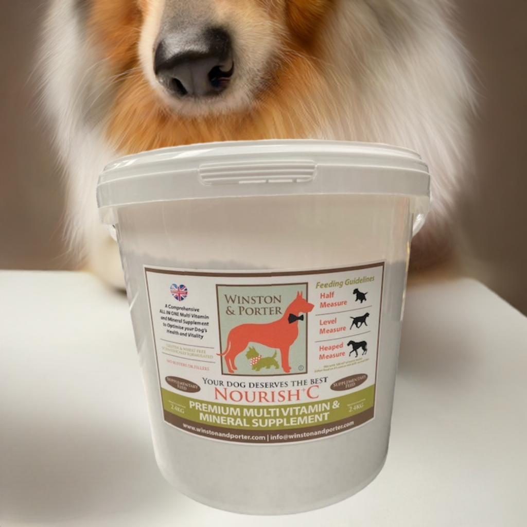 Nourish + C Premium Multi Vitamin & Mineral ALL IN ONE Supplement by Winston and Porter | The Hackers Market