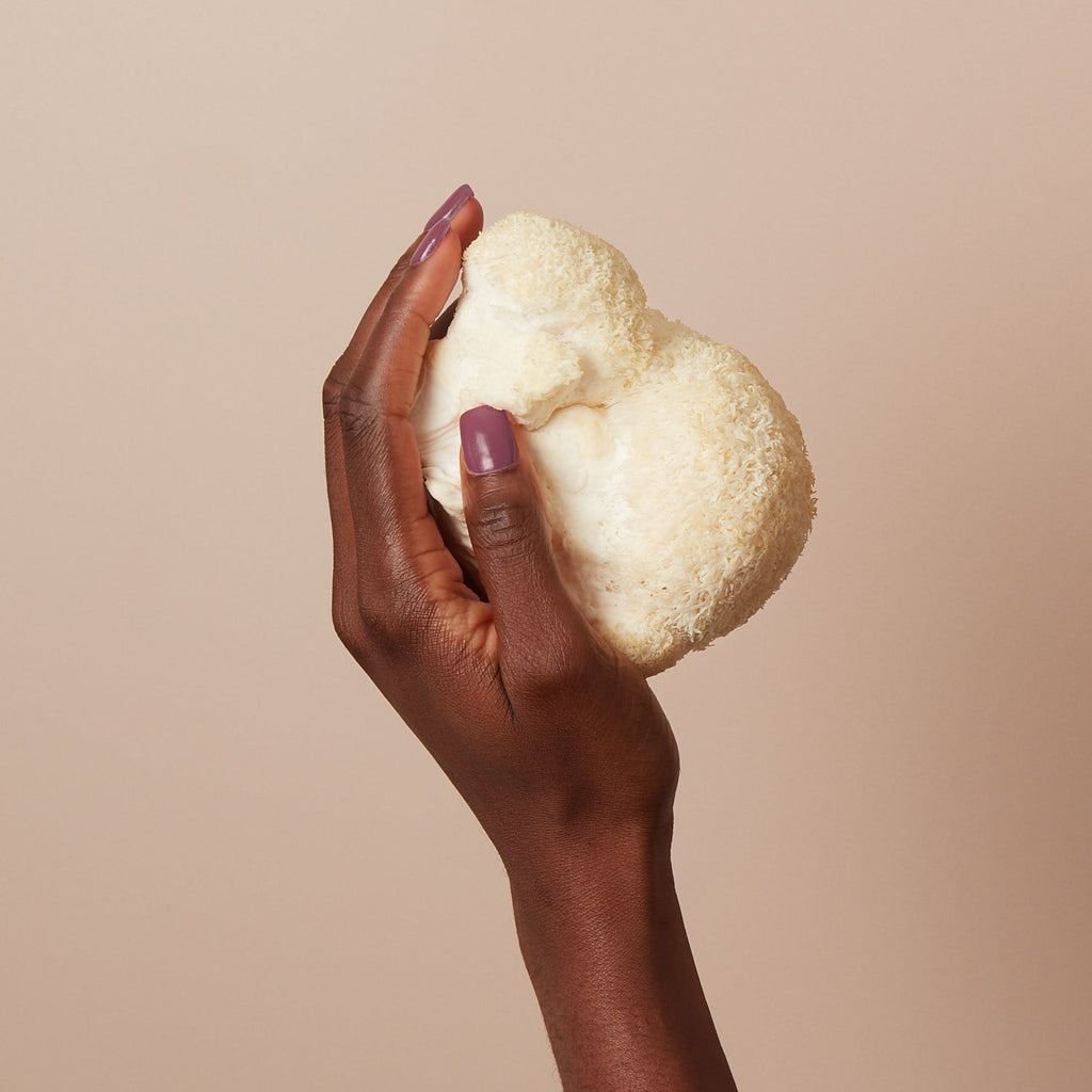 Roar - Organic Lions Mane Powder by itmushbegood | The Hackers Market