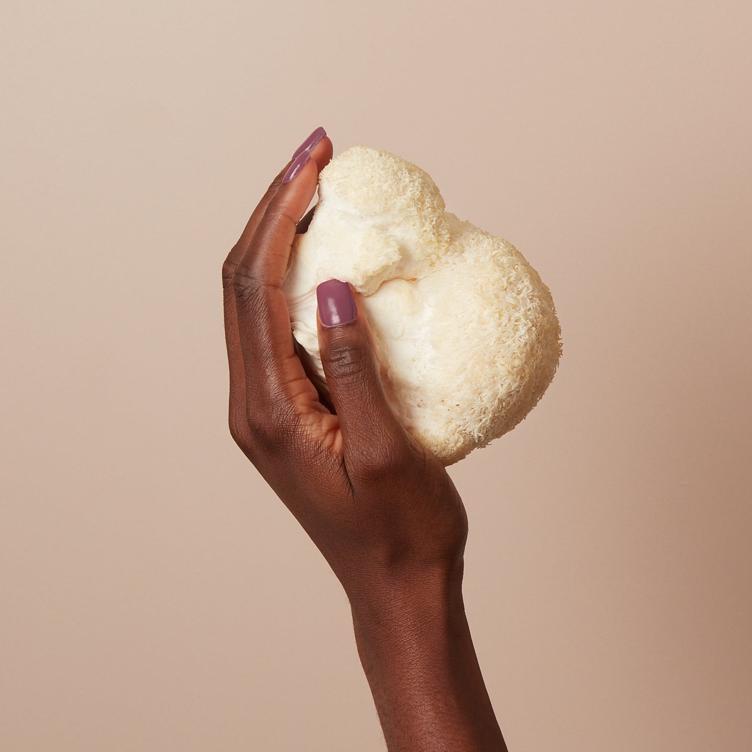 Roar - Organic Lions Mane Powder by itmushbegood | The Hackers Market