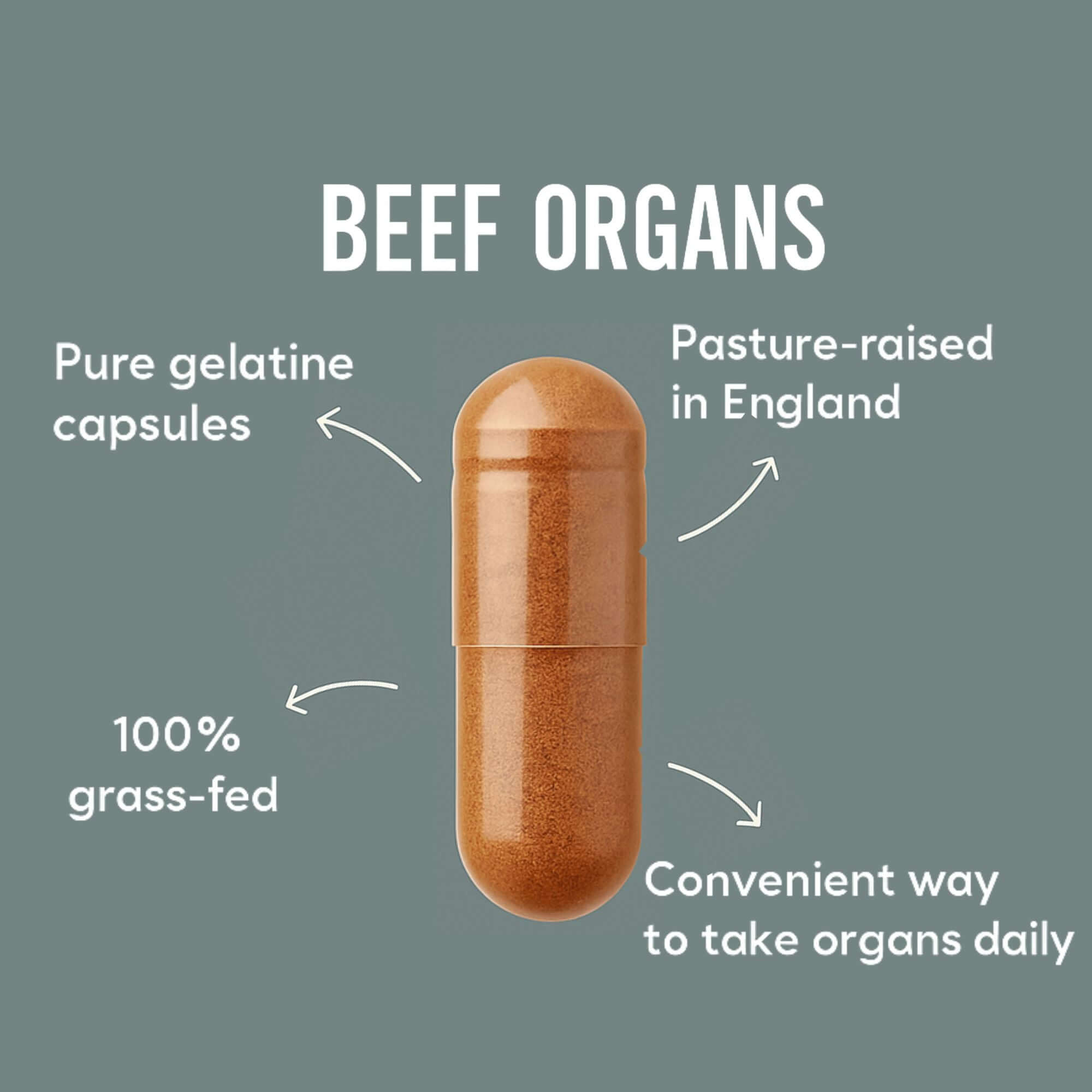 Ancestral Family Pack