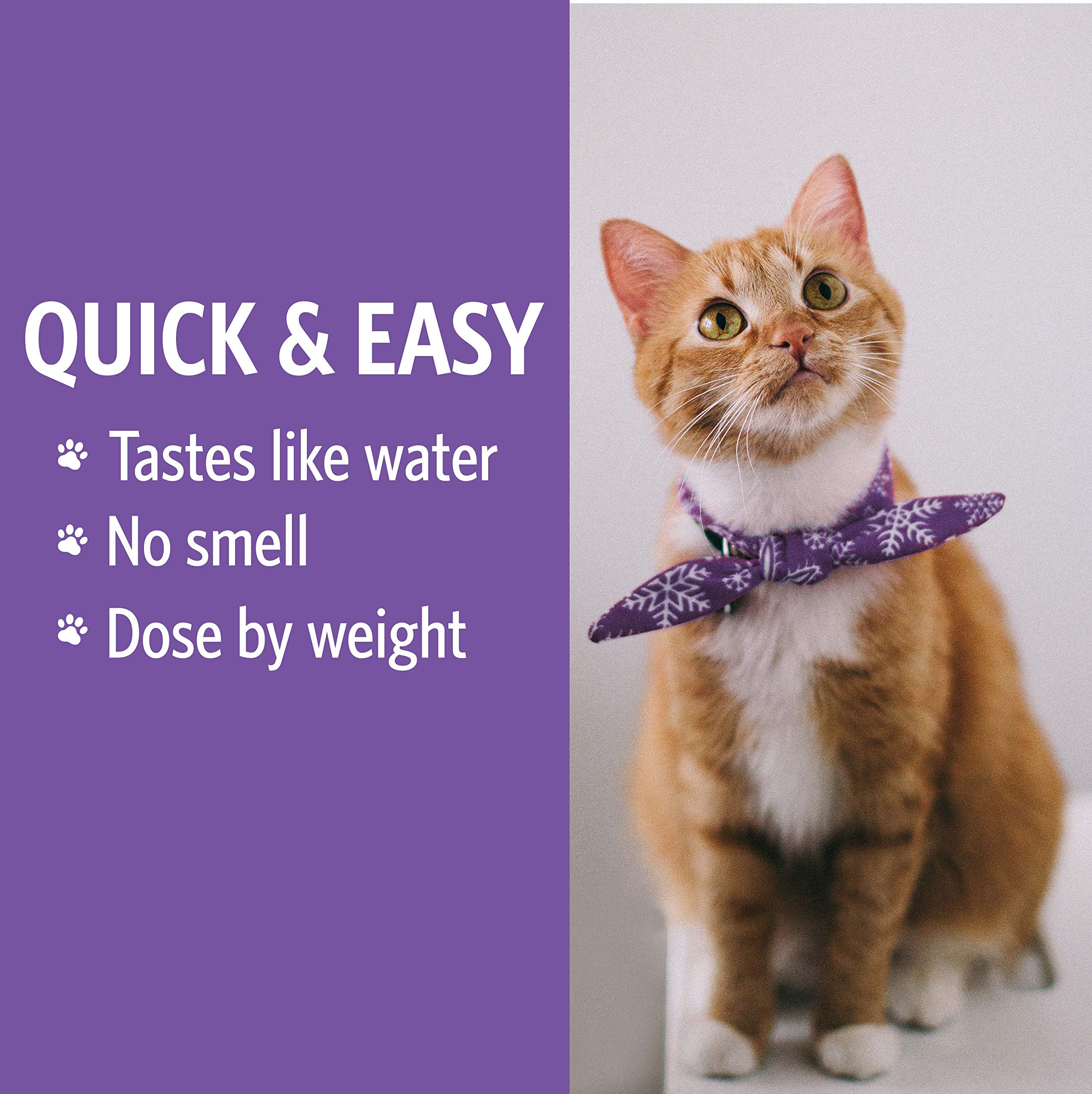 Sovereign Silver Pets Immune Support – 10 ppm Colloidal Silver Hydrosol, 2 oz Fine Mist by Sovereign | The Hackers Market