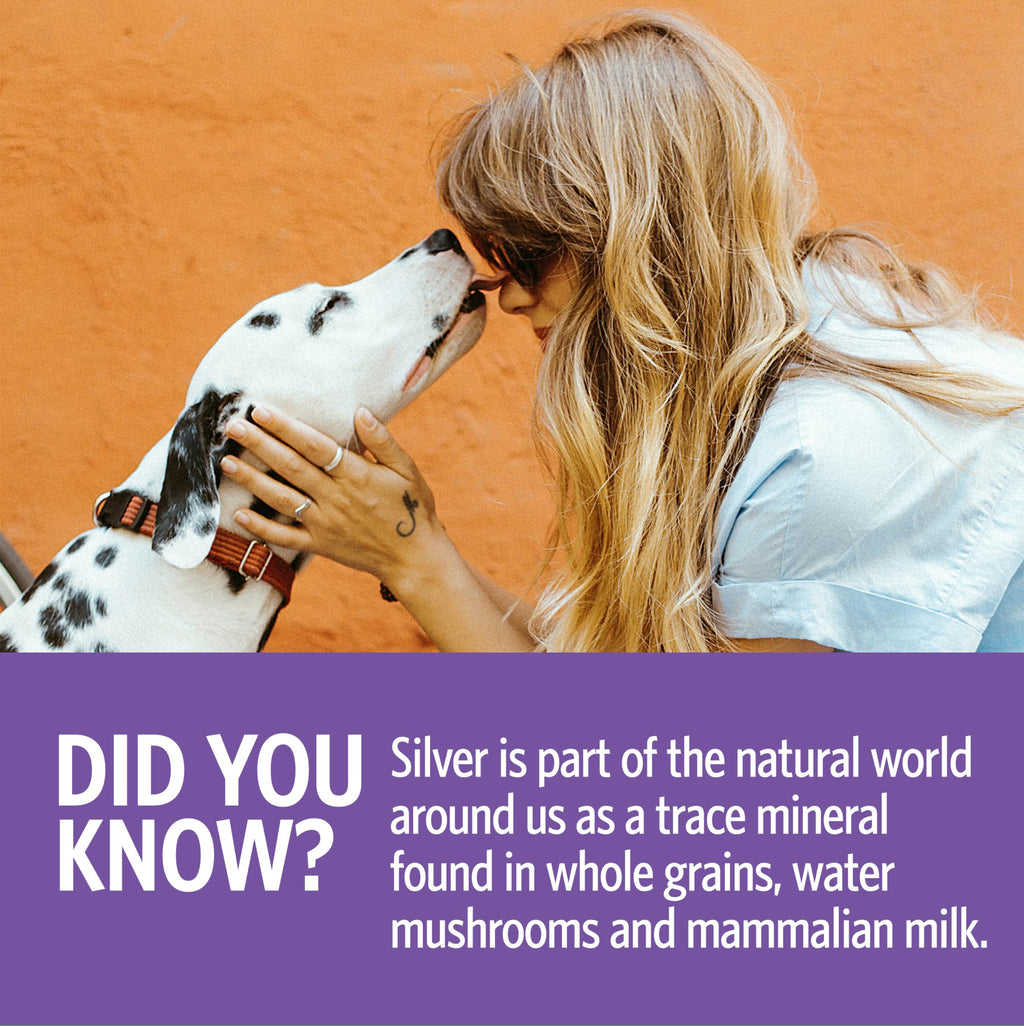 Sovereign Silver Pets Immune Support – 10 ppm Colloidal Silver Hydrosol, 2 oz Fine Mist by Sovereign | The Hackers Market