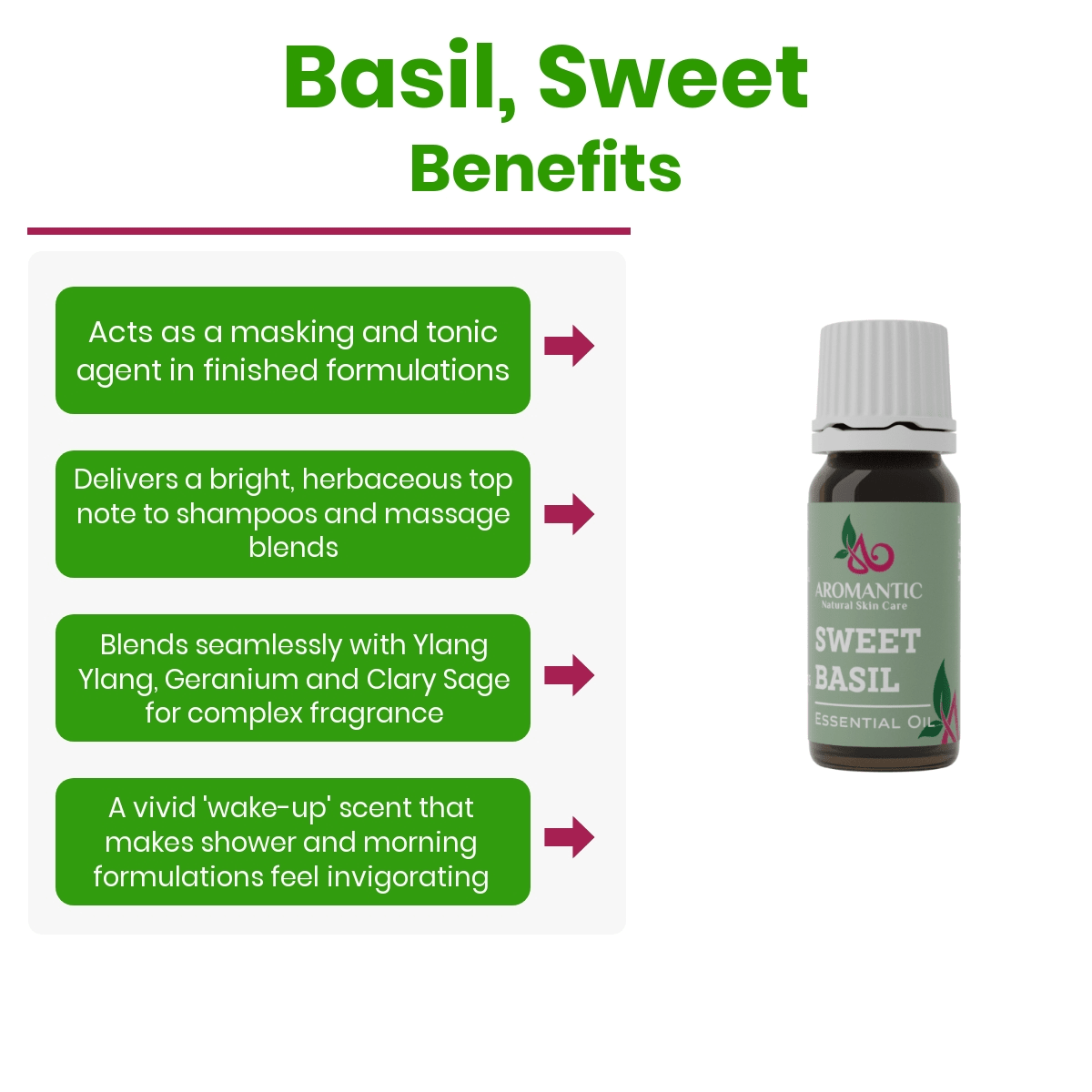 Sweet Basil Essential Oil